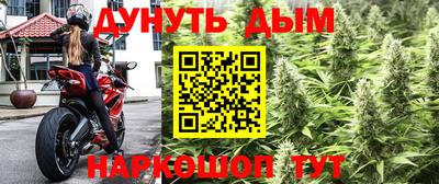 молекула духа Пугачёв