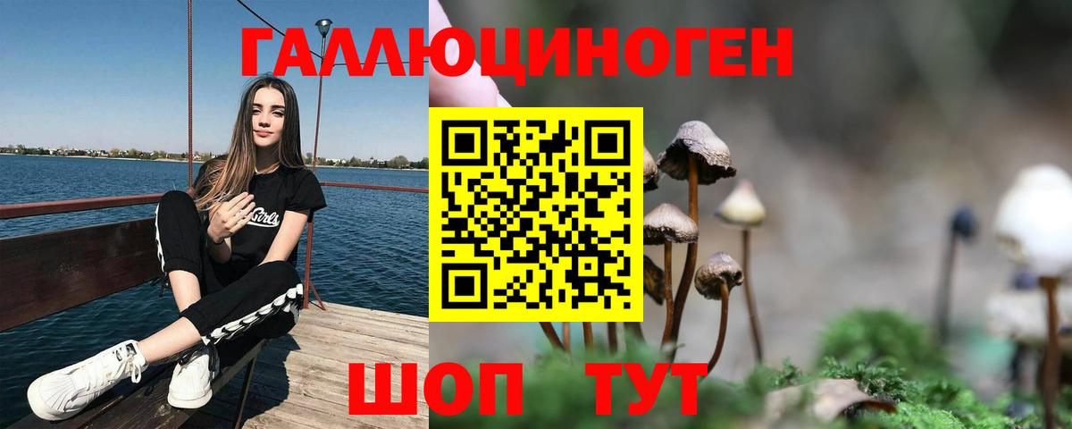Пушкино  Псилоцибиновые грибы GOLDEN TEACHER  Вход с VPN 